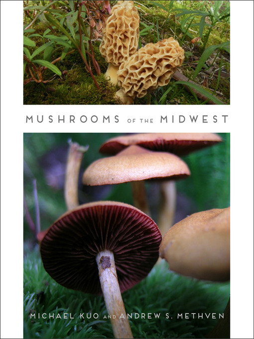 Title details for Mushrooms of the Midwest by Michael Kuo - Available